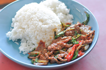 stir-fried beef or fried beef with rice