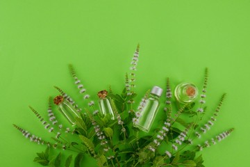 peppermint essential oil.organic mint oil in transparent bottles set and fresh mint branches on a light green background.copy space.Organic Bio Essential Oils