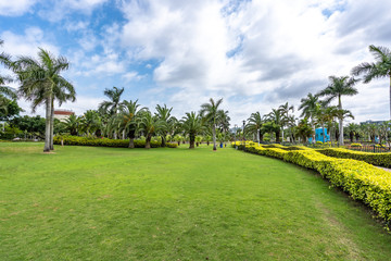 road in the park