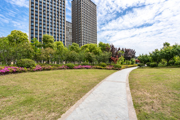 road in the park