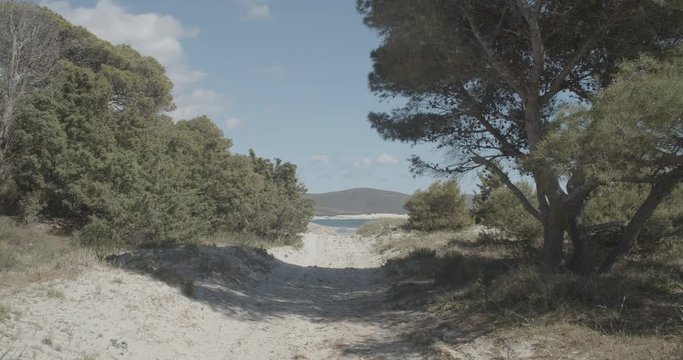 Path to the sea in a Sardinian beach