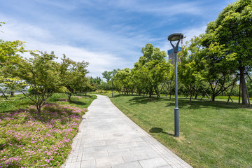 road in the park