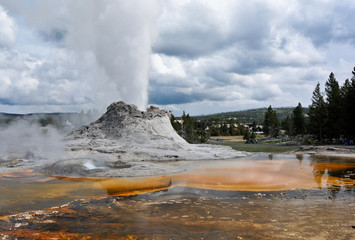 Geyser à Yellowstone