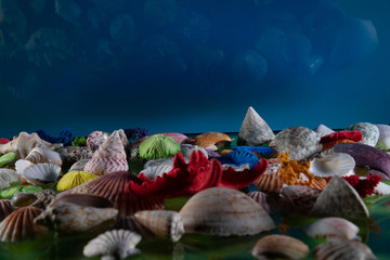 Fototapeta na wymiar Abstract composition of various seashells. On the textured background