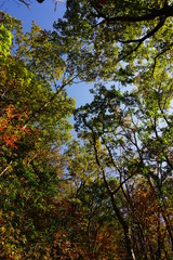 大阪府　岩湧山