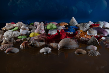 Obraz na płótnie Canvas Abstract composition of various seashells. On the textured background