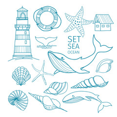 Set of marine objects - Shells, whale tail, Starfish, lifeline, whale, house, lighthouse. Hand-drawn illustration, sketch.