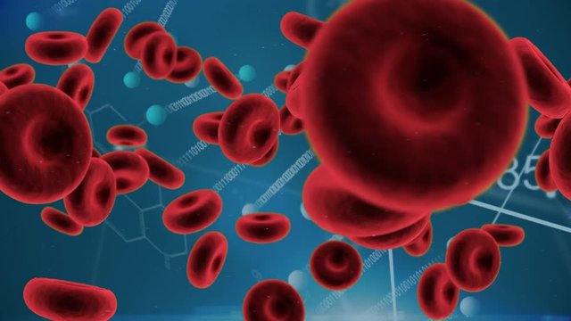 Red blood cells and asymmetrical lines with binary codes