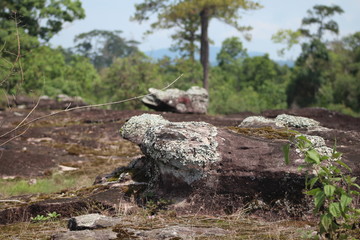 Rock