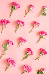 Obraz na płótnie Canvas Rose flowers composition on pink background