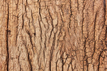 close up top viwe old vintage brown wood back ground.retro wood has abstract patterned  surface through the use of time.