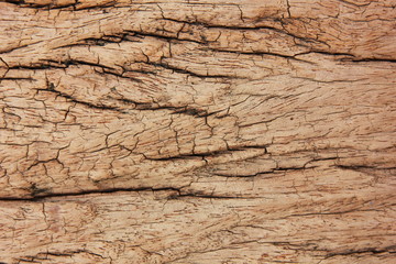 close up top viwe old vintage brown wood back ground.retro wood has abstract patterned  surface through the use of time.