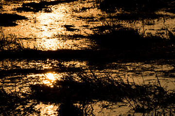  Light hits the water, Sunset in the evening