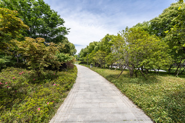 road in park