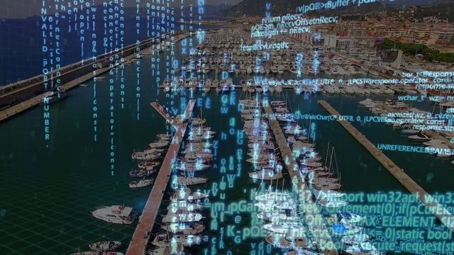 Program codes and a port