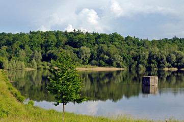 Obraz premium Blooming trees on a mountain lake in the open air against the background of the forest and mountains