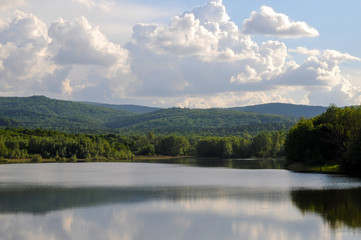 Blooming trees on a mountain lake in the open air against the background of the forest and mountains