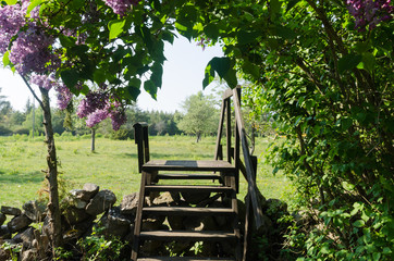 Wooden stile crossing a dry stone wall in a rural landscape by springtime