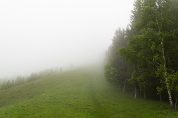 Obraz na płótnie Canvas Climbing the Misty Mountains in Spring