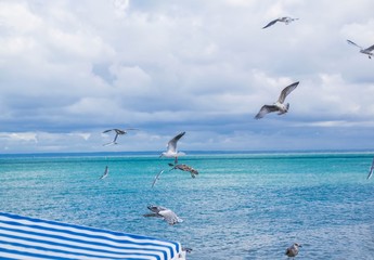 Cancale, Bretagne, France.