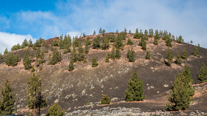 A volcanic hill covered with sparse forest