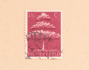 THE NETHERLANDS 1950: A stamp printed in the Netherlands shows a tree, circa 1950