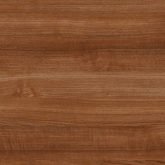 Fototapeta premium Wood oak tree close up texture background. Wooden floor or table with natural pattern. Good for any interior design