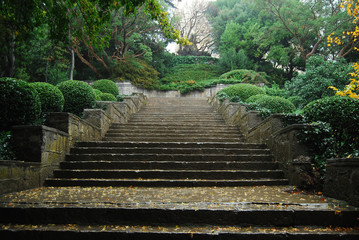 Obraz premium Stone scale in botanic garden in autumn rainy day with beautiful green plants