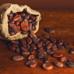 Cacao beans on wooden bacground.
