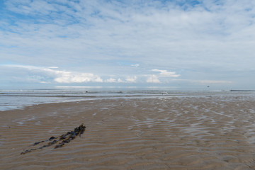 paysage de bord de mer sous le soleil