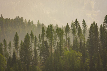 Fumée de feu de forêt dans les montagnes de Fernie, en Colombie-Britannique