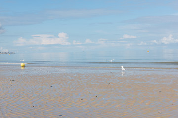 paysage de bord de mer sous le soleil