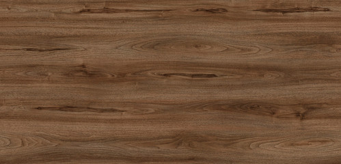 Fototapeta premium Wood oak tree close up texture background. Wooden floor or table with natural pattern. Good for any interior design