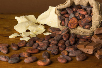 Cacao beans,  chocolate and cocoa butter on wooden background