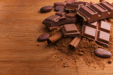 Cocoa beans, chocolate, cocoa powder and cinnamon on wooden background