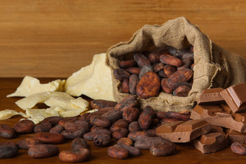Cocoa beans and cacao butter on wooden background