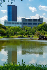 Fototapeta premium 小石川後楽園の大泉水とビル