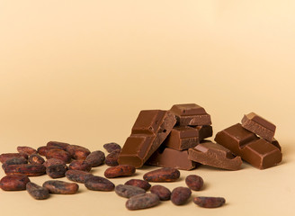 Cocoa and chocolate. Close up.