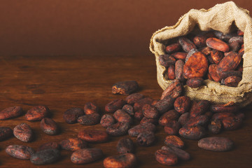 Cacao beans on wooden background