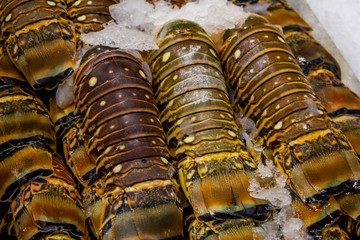 Several units of Maine lobster tails on ice