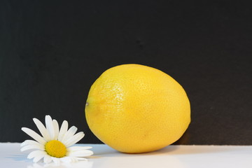 Appetizing ripe lemon with a camomile on a black and white background