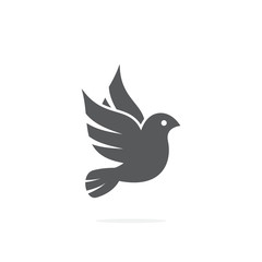 Dove icon on white background