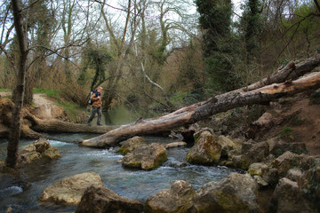 Redhead man in a brown-and-blue windbreaker with a backpack crosses a river along a tree log, using it as a bridge, in the spring in the Crimea. Travel, adventure and hiking concept.