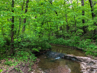 Obraz premium Beautiful view of the Starved Rock Nationl Park