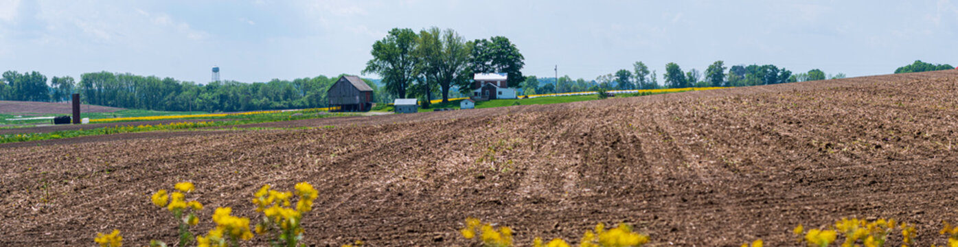 Midwestern farmstead panorama