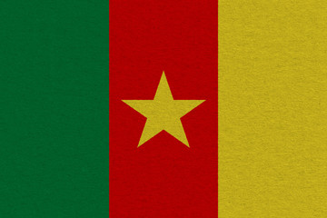Cameroon flag painted on paper