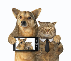 The dog with a smartphone and cat in a black tie made selfie together. White background. Isolated.