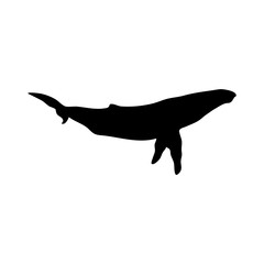 black flat whale icon isolated on white background. blower sign. marine nature symbol.