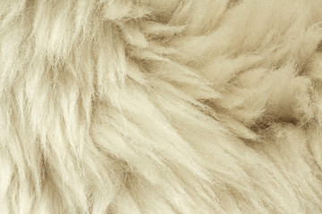 Texture of fur hair background