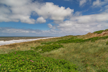 Fototapeta na wymiar Sylt - View to Dunes at Rantum with awesome Sky clouds, Schleswig-Holstein, Germany, 11.06.2018